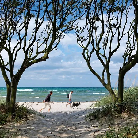 Insel-idyll Sonnenschein Апартаменты *