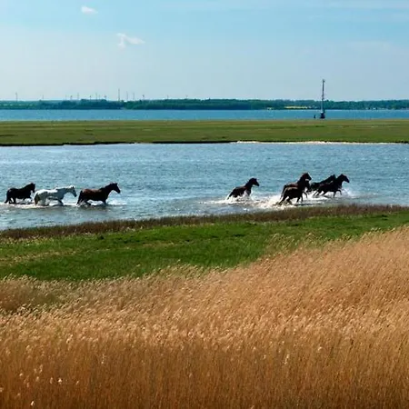 Insel-idyll Sonnenschein Апартаменты