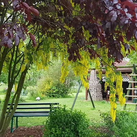 Insel-idyll Sonnenschein *