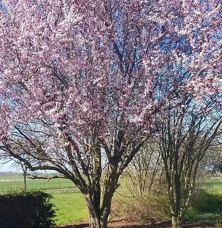 Insel-idyll Sonnenschein *