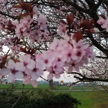 Insel-idyll Sonnenschein Остров Пёль