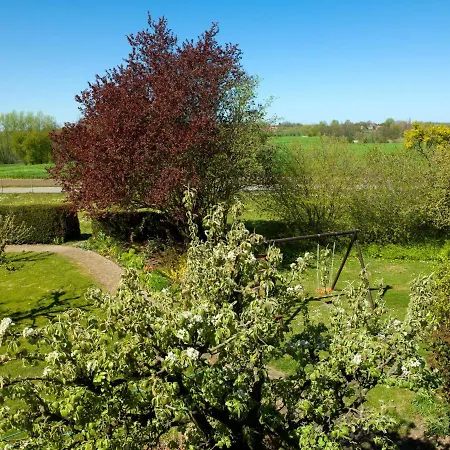 Insel-idyll Sonnenschein